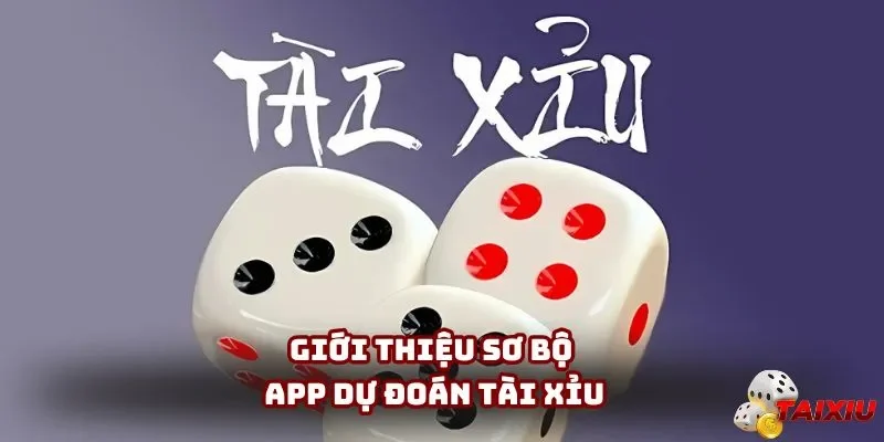Giới thiệu sơ bộ app dự đoán tài xỉu