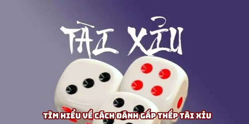 Tìm hiểu về cách đánh gấp thếp tài xỉu