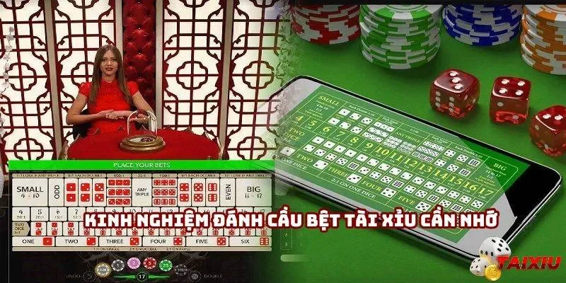 kinh-nghiem-danh-cau-bet-tai-xiu-ava