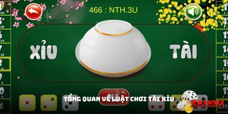 Sơ lược về luật chơi Tài Xỉu